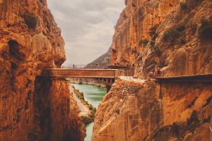 Wellcare natural bridge